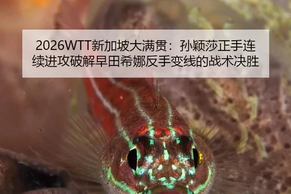 xin-jia-po-da-man-guan-sun-ying-sha-zheng-shou-lian-xu-jin-gong-po-jie-zao-tian-xi-na-fan-shou-bian-xian-de-zhan-shu-2-752.jpg